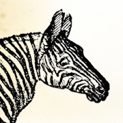 Librairie du Voyageur